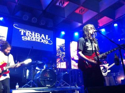 Tribal Seeds live performance