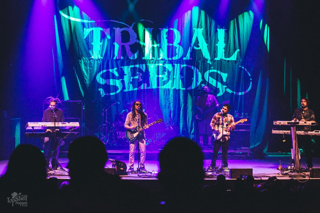 Tribal Seeds playing live